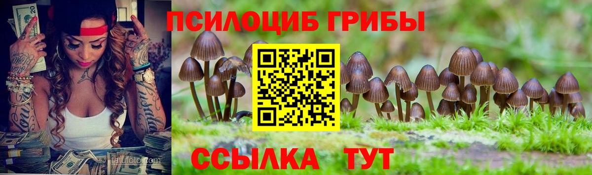 Псилоцибиновые грибы GOLDEN TEACHER Коркино