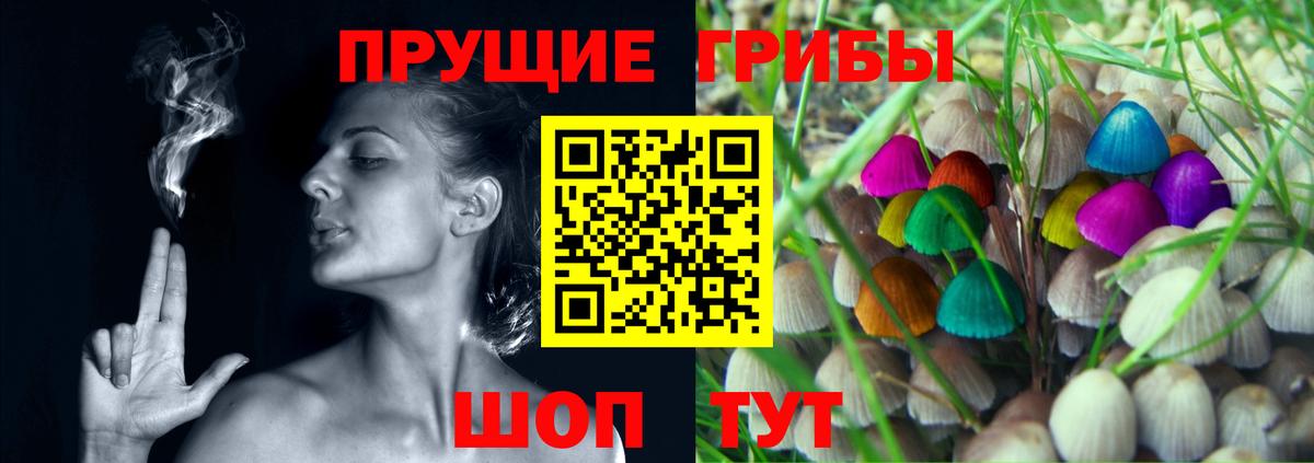 Псилоцибиновые грибы GOLDEN TEACHER  Галлюциногенные грибы прущие грибы  Вход с VPN  Коркино 